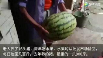 吃瓜的时候视频  第3张